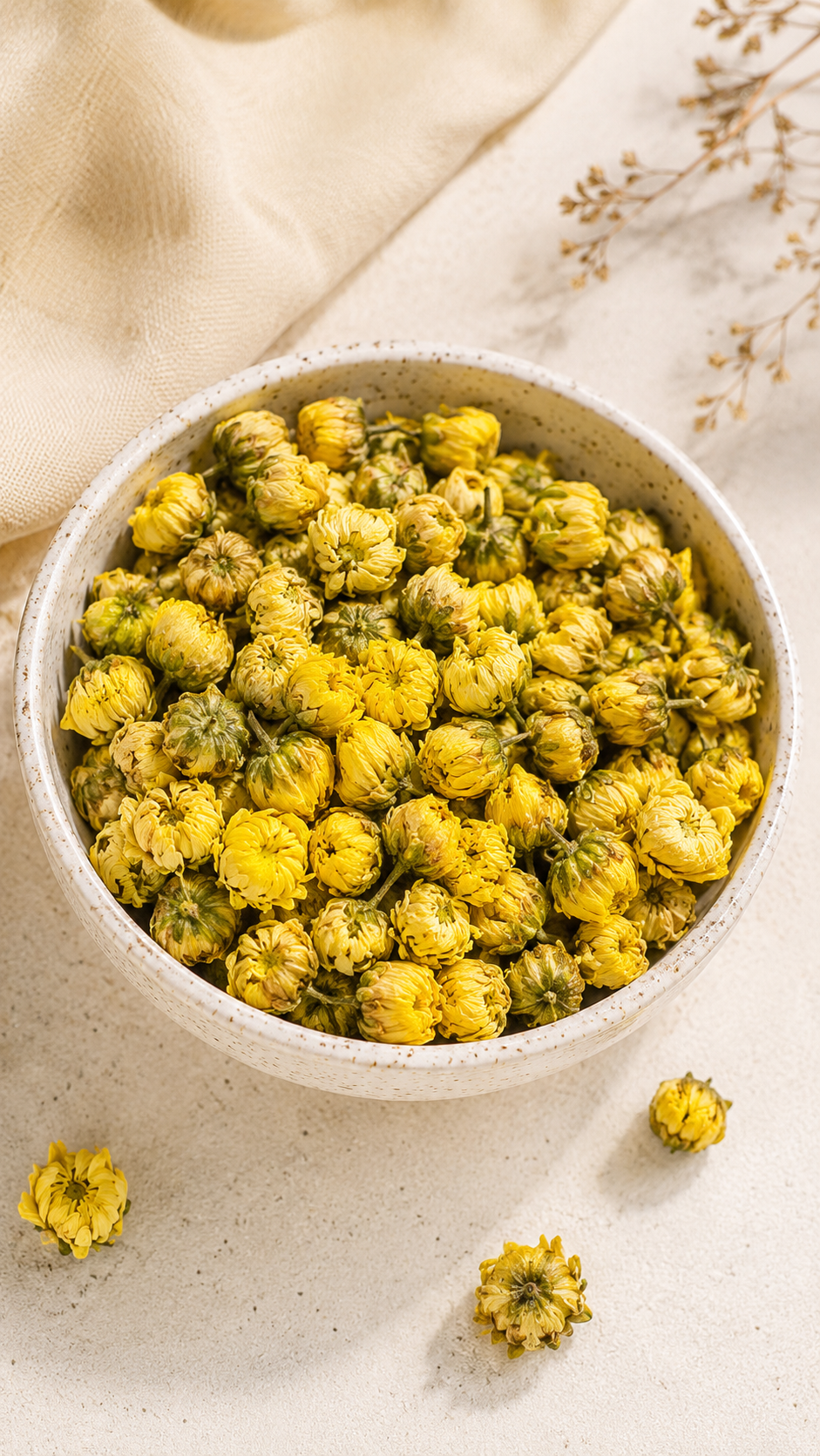 Premium Chrysanthemum Buds | 胎菊 75g