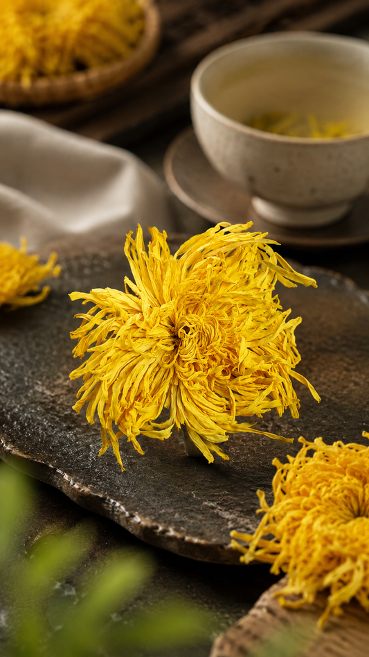Golden Silk Chrysanthemum  | 金丝黄菊 15g