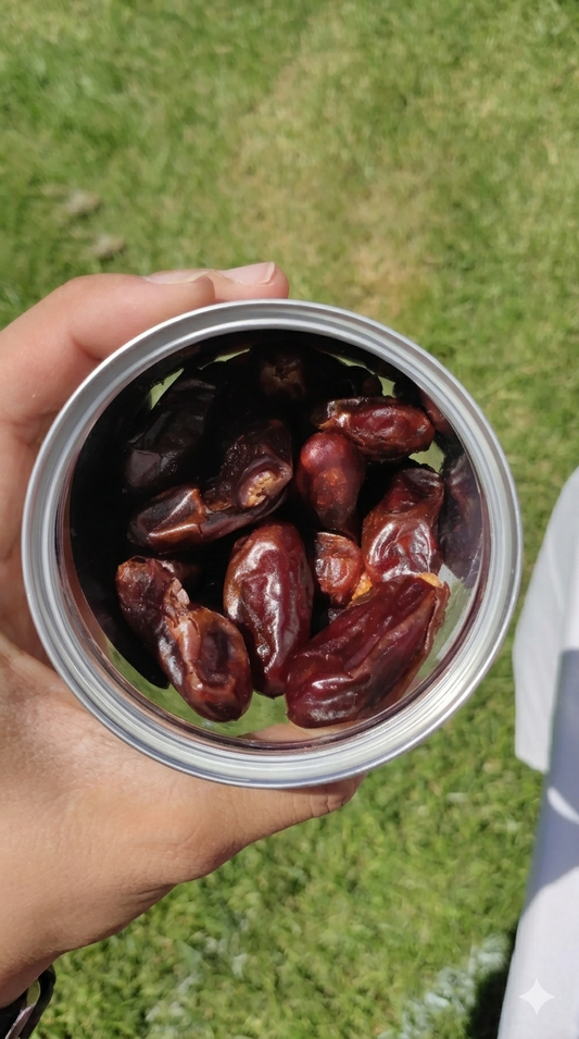 Dates | 椰枣 320g